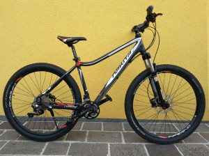 Nakita Wildcat